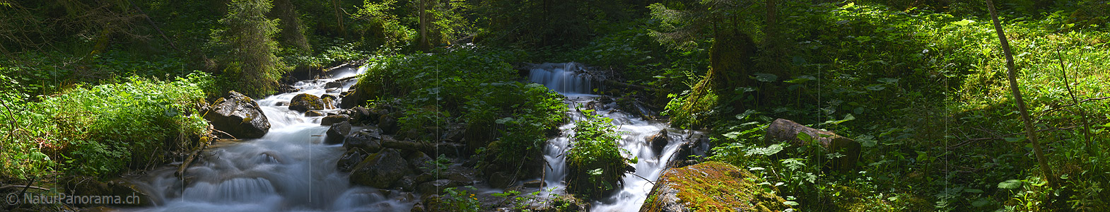P021454: Panoramafoto Bergbach im lichten Wald (Langzeitbelichtung)
