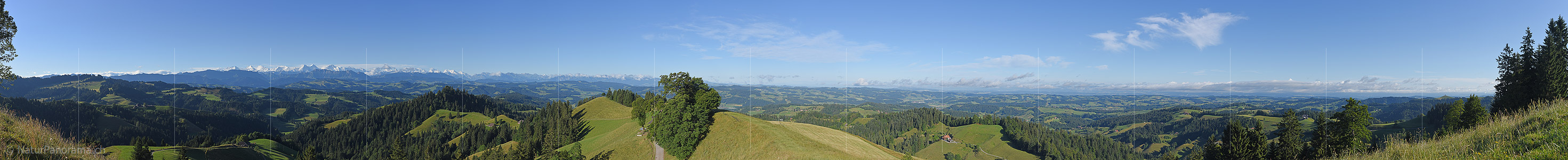 P020031b: Panoramafoto Emmentaler Hügellandschaft und Berner Alpen