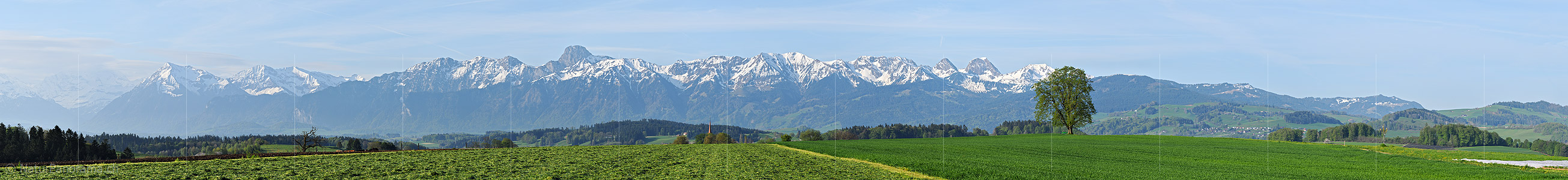 P003471a: Panoramafoto Frühlingslandschaft mit Stockhornkette