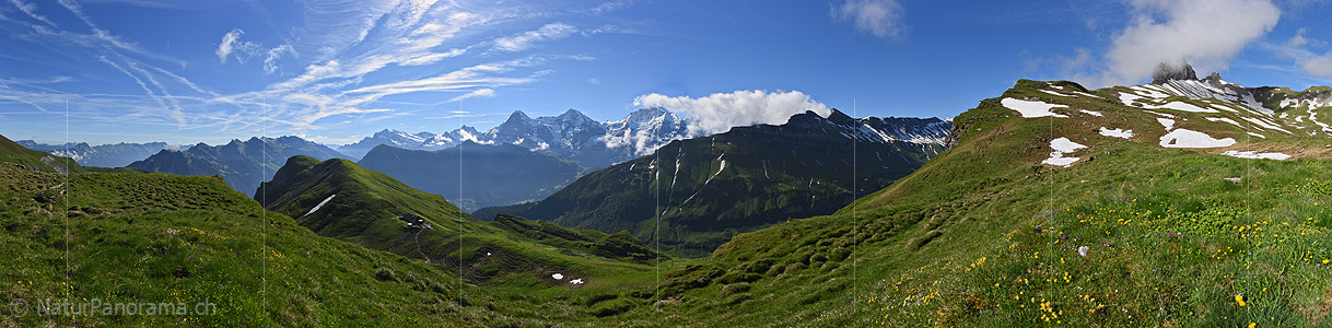 P018044a: Panoramafoto Grüne Berglandschaft in der Jungfrauregion