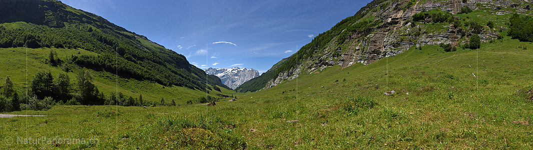 P020013: Panoramafoto Grünes Bergtal in den Schweizer Alpen