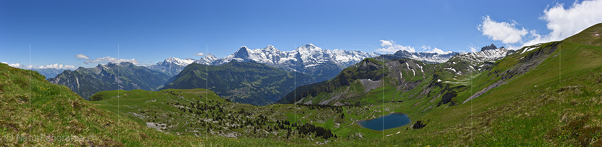 P018067c: Panoramafoto Jungfrauregion im Sommer