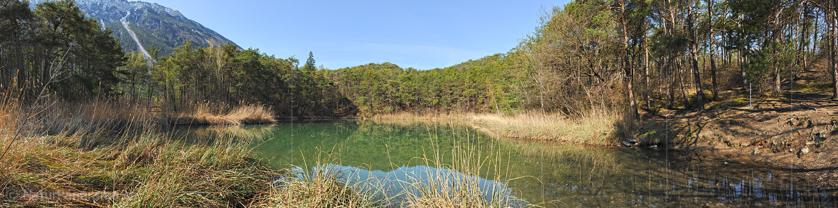 P012321: Panoramafoto Kleiner See im Wald mit Schilfgürtel