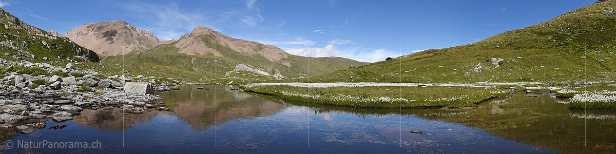 P020243b: Panoramafoto Ruhig fliessender Bergbach und Wollgras in Naturlandschaft