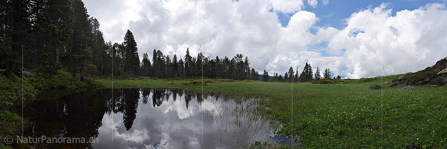 P021507: Panoramafoto Spiegelung von Wolken in kleinem Bergsee