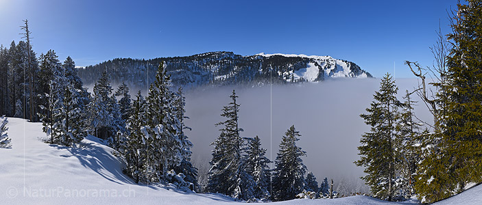P020859: Panoramafoto Winterlandschaft mit Nebelmeer