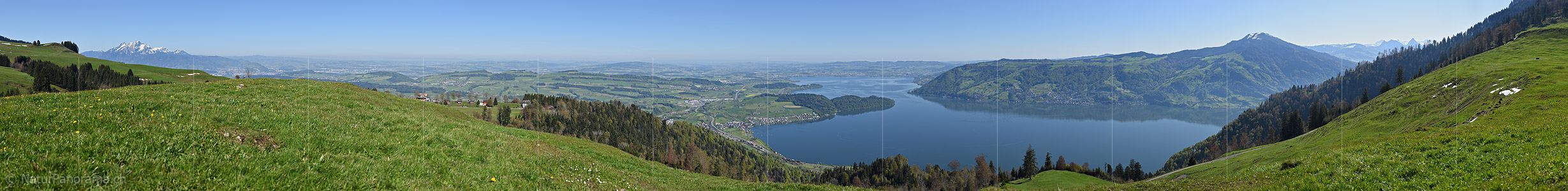 P017629: Panoramafoto Zugersee und Zentralschweiz
