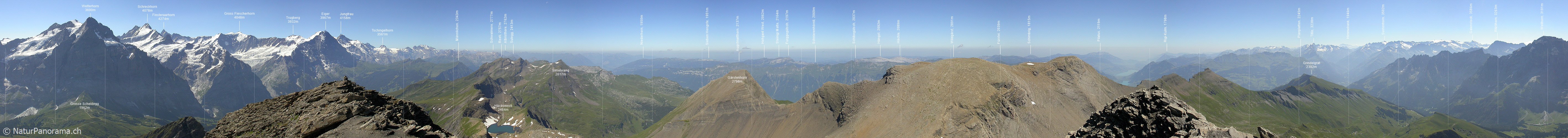 P000040: Gipfelpanorama Schwarzhorn, Grindelwald