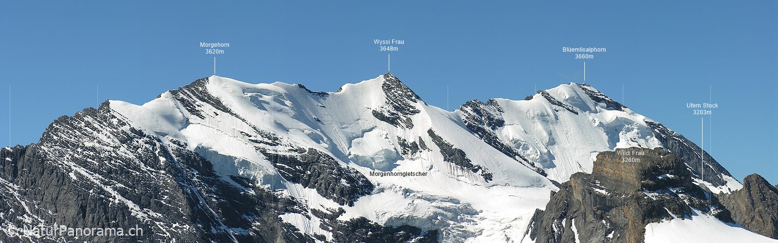 P000278: Panorama Blüemlisalp vom Hundshorn