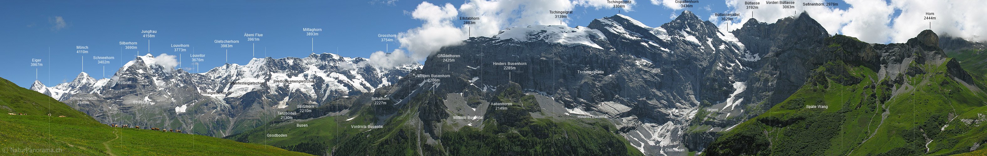 P000290: Panorama Berner Alpen von Oberberg/Mürren