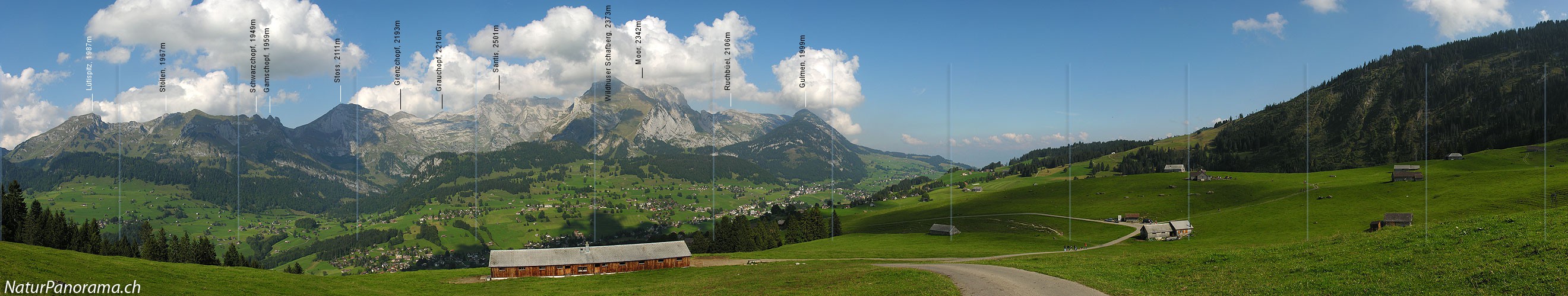 P000465: Panoramabild Toggenburg mit Säntis und Alpstein