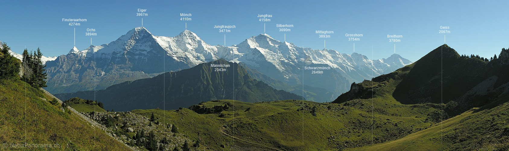 P001430: Panorama Eiger, Mönch und Jungfrau