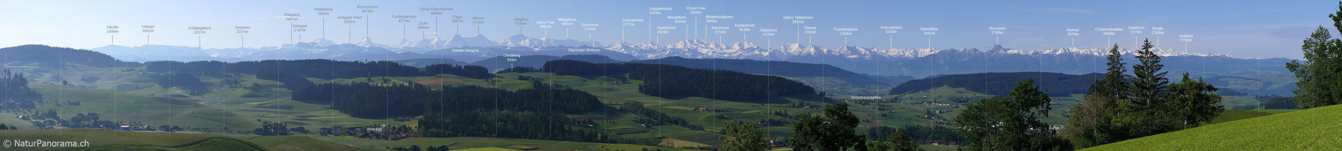 P002209: Panoramabild Hügellandschaft vor Alpenkette