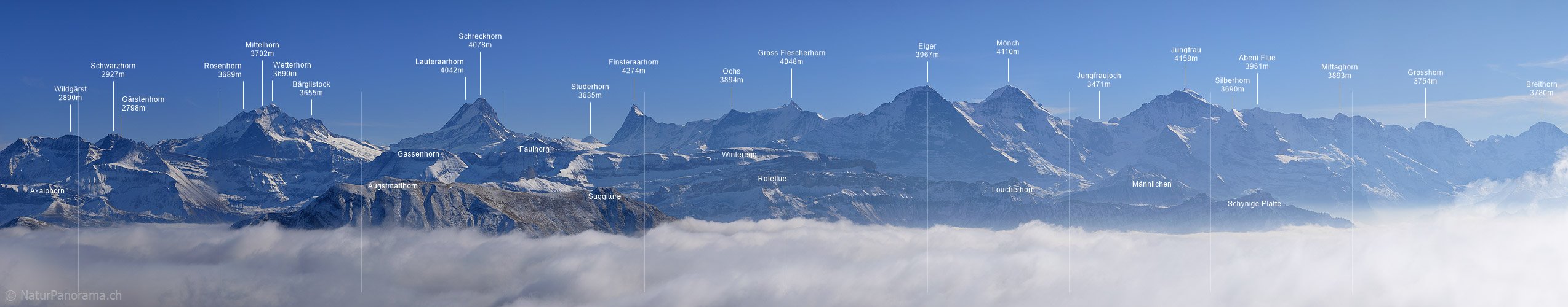 P002764: Panoramabild Nebelmeer vor Alpenpanorama