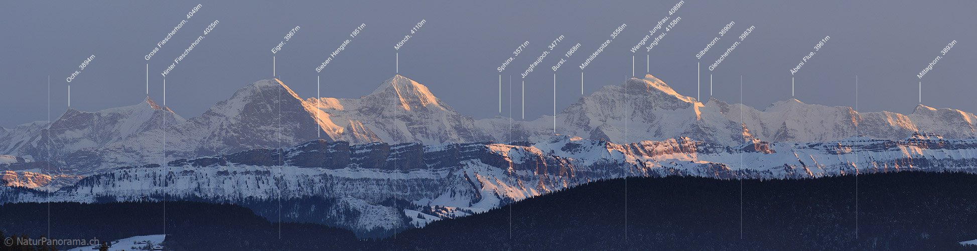 P003012: Panoramabild Eiger, Mönch und Jungfrau im Abendlicht
