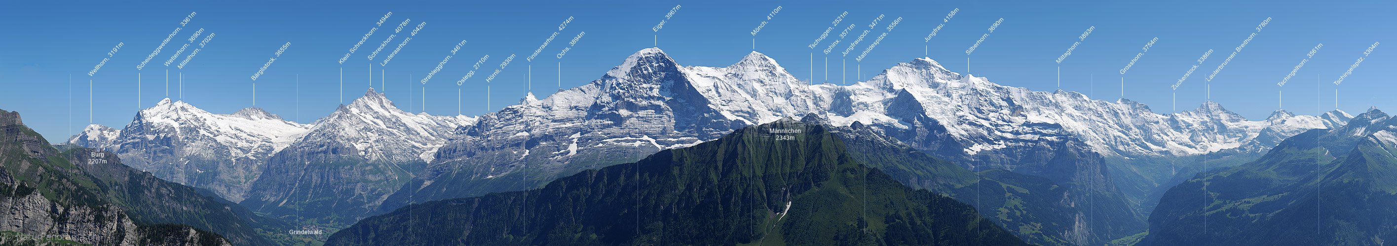 P003897d: High-resolution panoramic image Bernese Alps from Schynige Platte