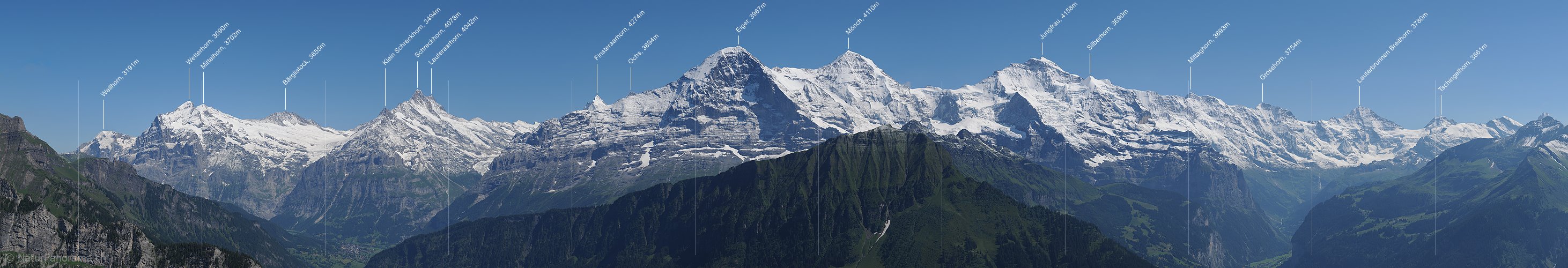P003897i: Panoramafoto Berner Alpen: Wetterhorn bis Tschingelhorn