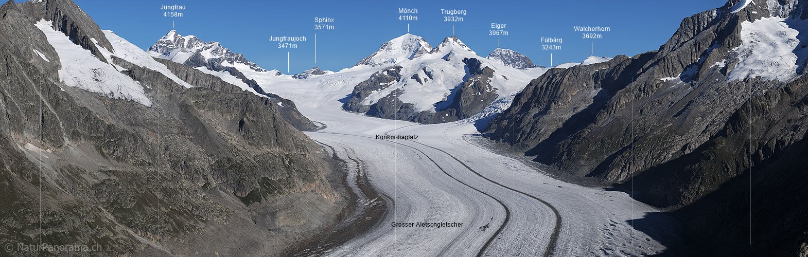 P004024: Grosspanorama Grosser Aletschgletscher