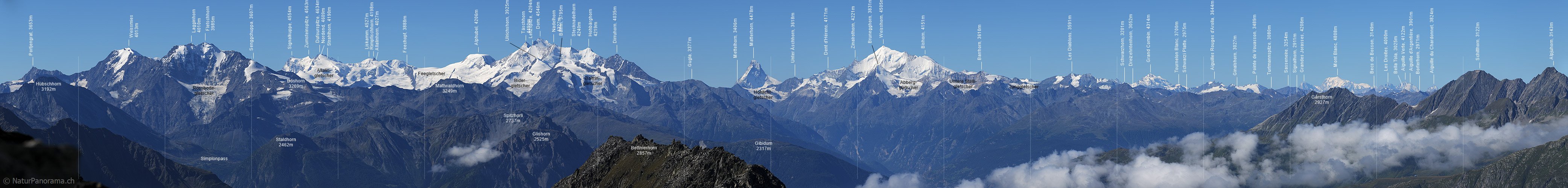 P004026: Panoramabild Walliser Alpen vom Eggishorn