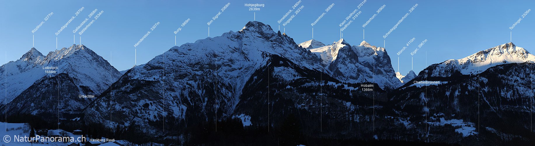 P004673: Panoramabild Morgenstimmung am Wetterhorn