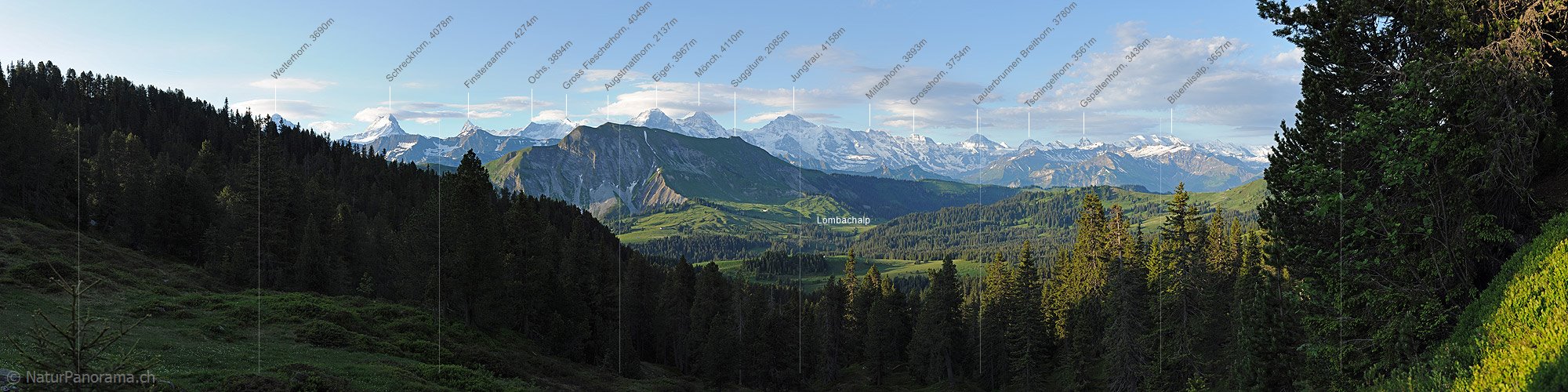 P005141: Panoramabild Naturlandschaft im Hohgantgebiet