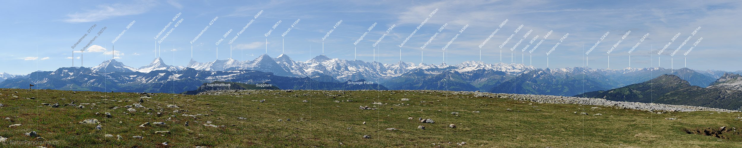 P005156: Panorama Berner Alpenkette