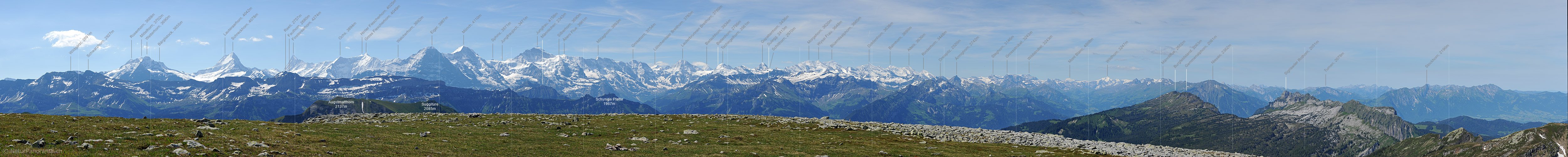 P005157: Panoramafoto Berner Alpenkette