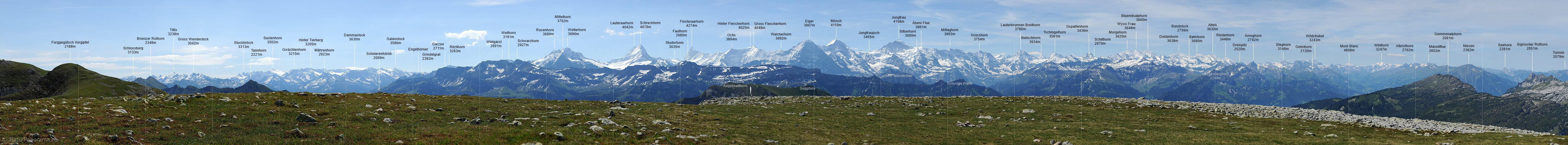 P005159d: Grosses Alpenpanorama Berner Alpen