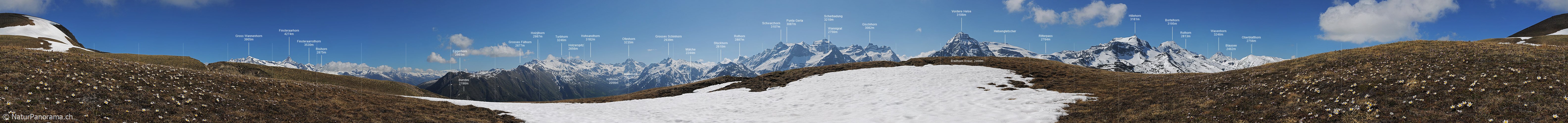 P006226: 360-Grad Panoramabild mit zahlreichen Berggipfeln und Pelzanemonen