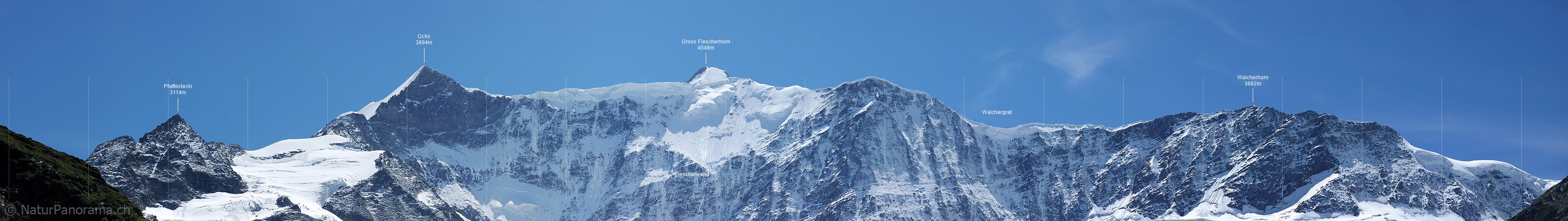 P006598: Panoramabild Ochs, Gross Fiescherhorn, Walchergrat und Walcherhorn