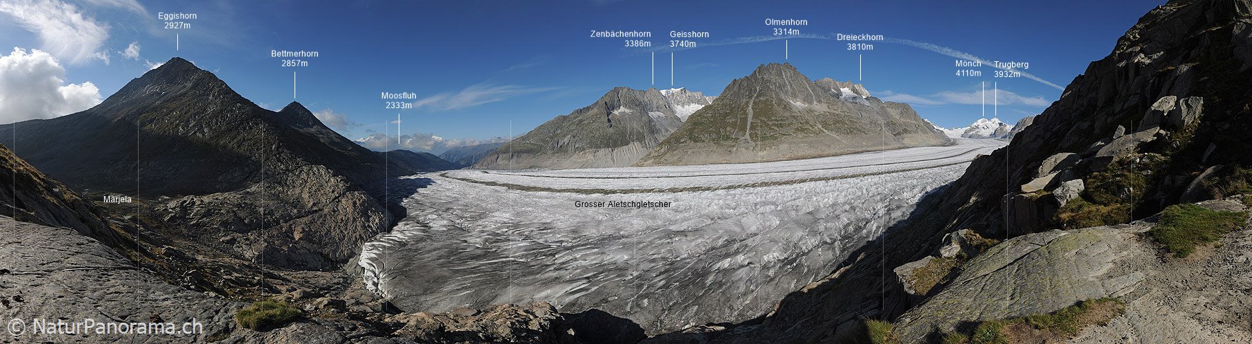 P006681: Panoramabild Grosser Aletschgletscher (Stand 9.2010)