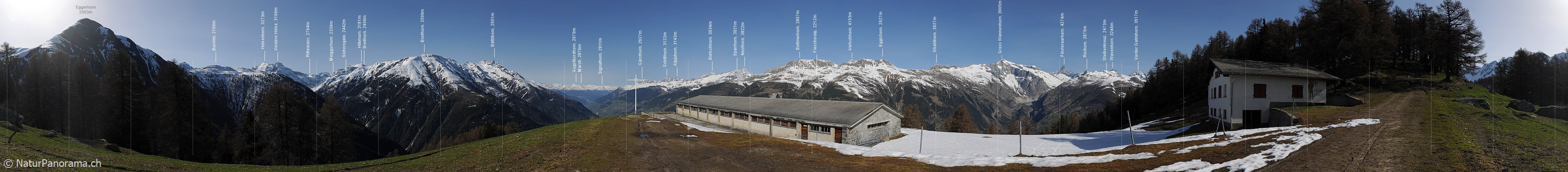 P007363: Panoramabild Alpe Frid oberhalb Ernen