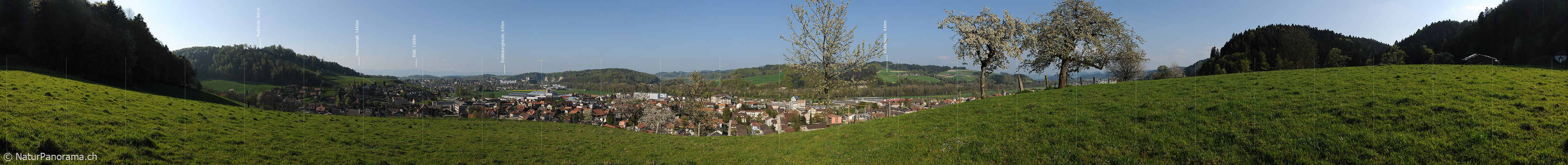 P007426: Panoramabild Burgdorf und Oberburg