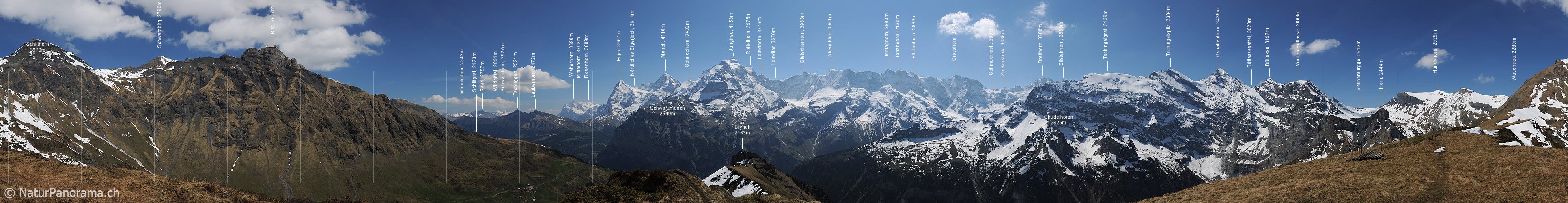 P007521: Gipfelpanoramabild Wasenegg, Mürren