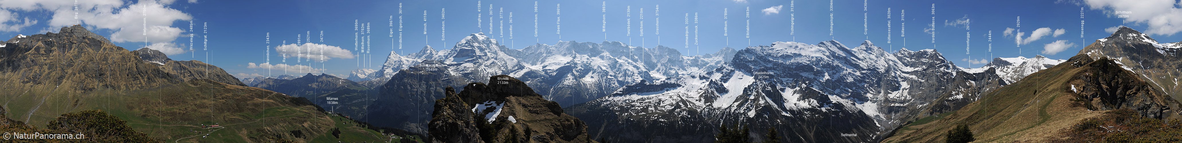P007524: Gipfelpanorama Bryndli, Mürren