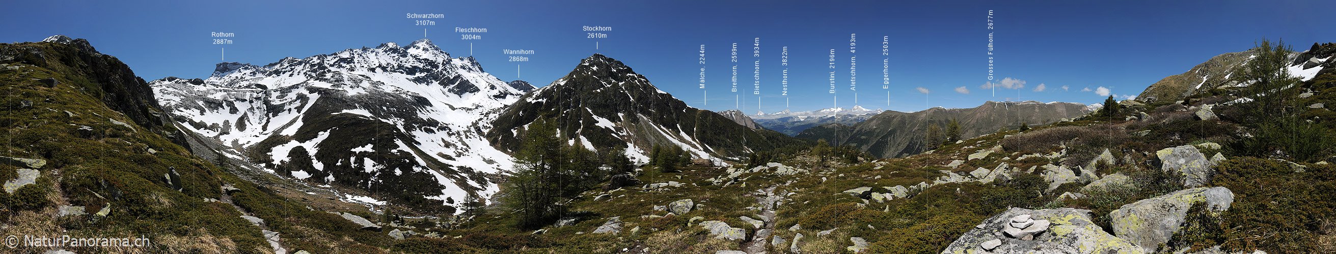 P007637: Panoramabild Naturlandschaft