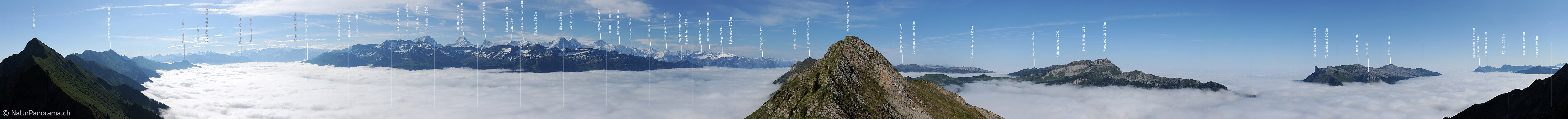 P007711: Gipfelpanorama Schnierenhörnli (Brienzergrat)