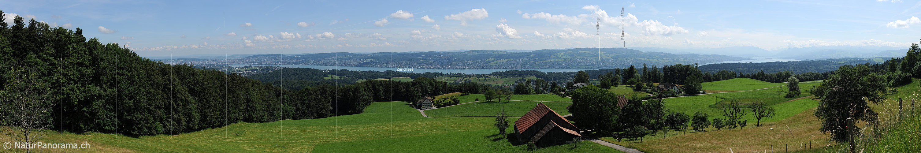 P007754: Panoramabild Zürichsee vom Albispass