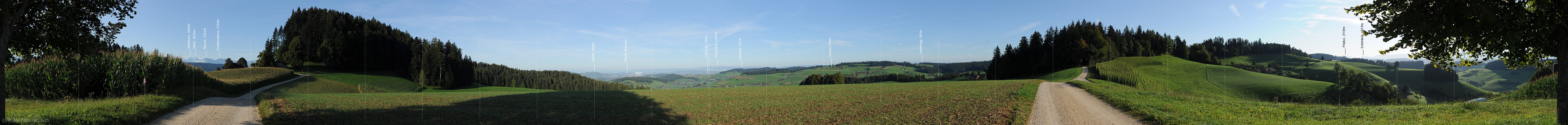 P008436: 360° Panoramaic image Corn field and track in hilly landscape