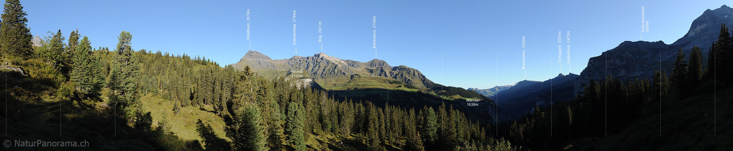 P008443: Panorama Morgenstimmung über dem Lauterbrunnental