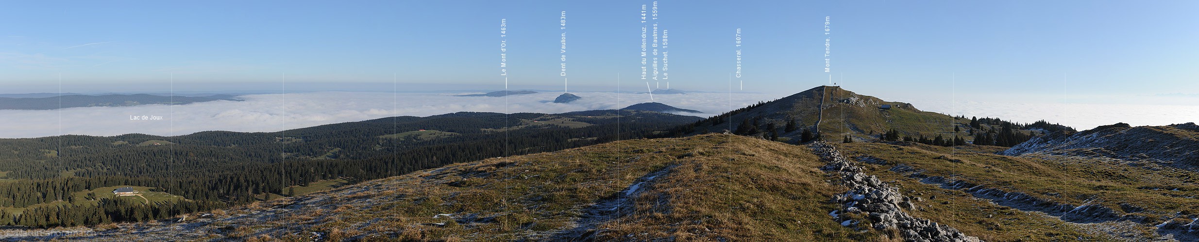 P008733: Panoramabild Juralandschaft am Mont Tendre