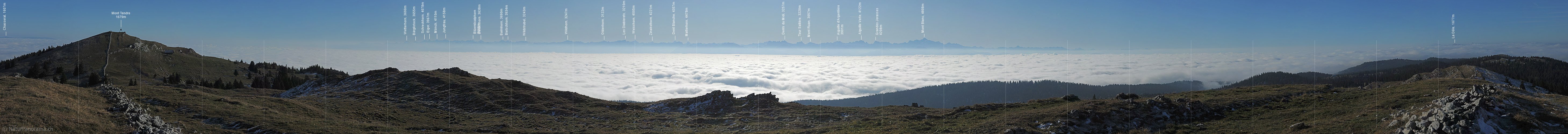 P008736: Alpenpanorama und Nebelmeer vom Mont Tendre