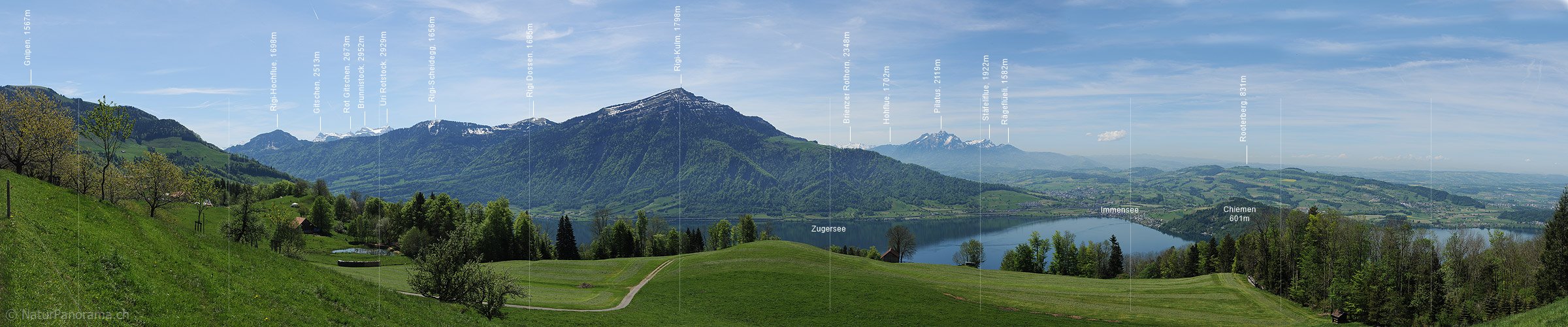 P009757: Panoramabild Rigi und Zugersee vom Walchwilerberg