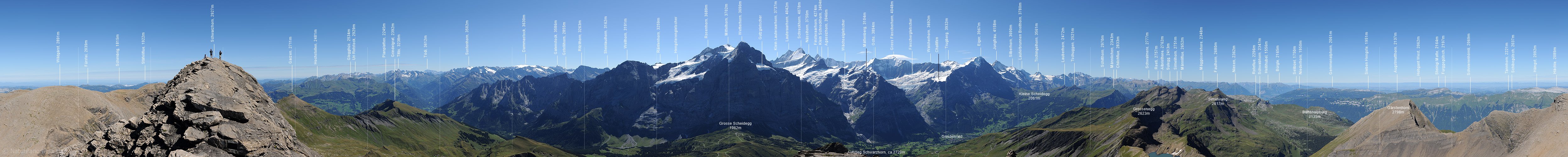 P010485: Gipfelpanorama Schwarzhorn (Grindelwald)