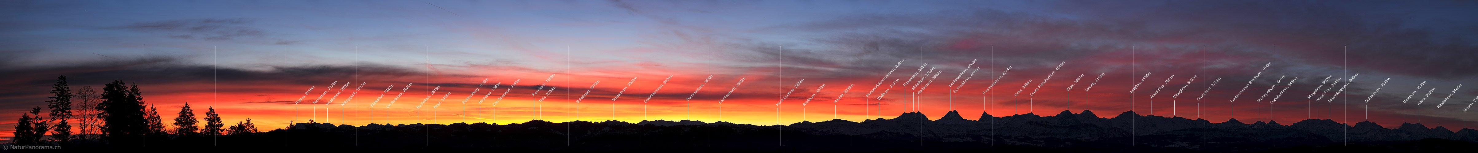 P011066: Panoramafoto Morgenstimmung über den Berner Alpen
