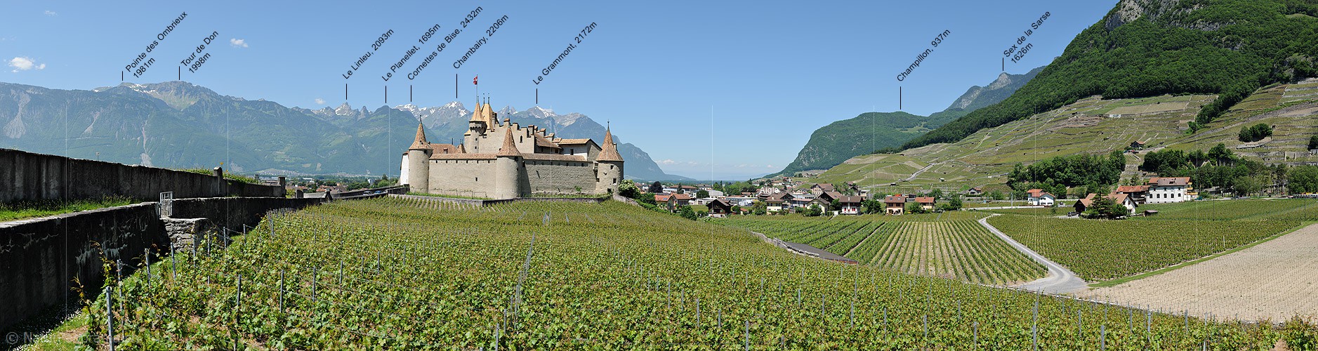 P012884: Panoramafoto Rebberge und Schloss Aigle