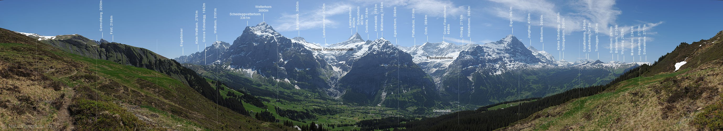 P012931: Hochauflösendes Panoramafoto von Wetterhorn, Schreckhorn, Gross Fiescherhorn und Eiger