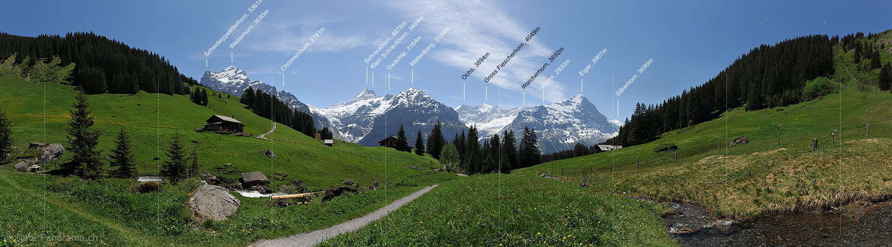 P012933: Panoramafoto Berner Alpen (Wetterhorn und Co.) von Grindelwald