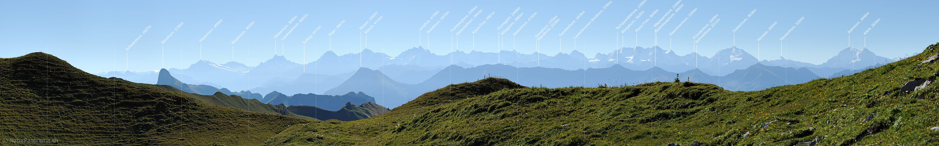 P013538a: Panoramafoto Konturen der Berner Alpen