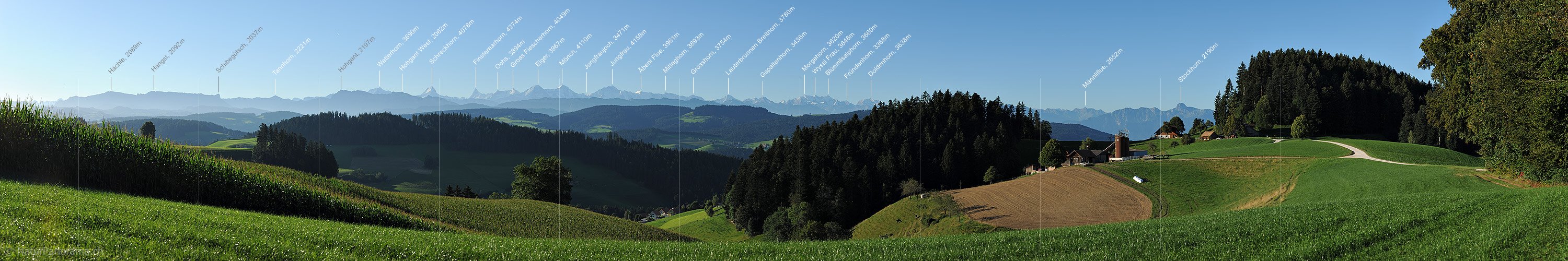 P013552: Panoramafoto Hügellandschaft vor Alpenkette